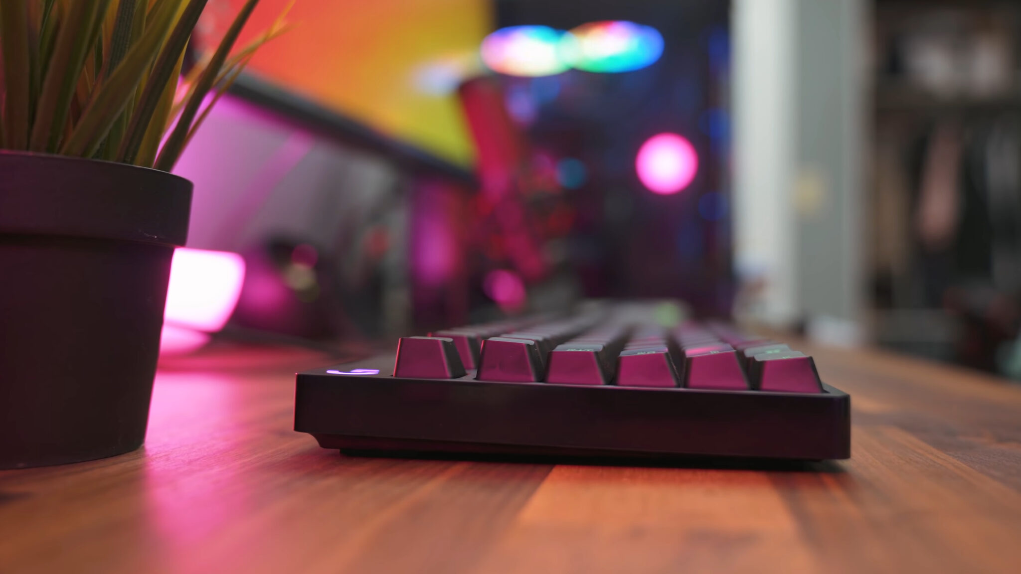 10 Best Budget Mechanical Keyboards For 2024 Best Picks   My Top Picks On The Best Budget Mechanical Keyboards Review And Buying Guide 2048x1152 